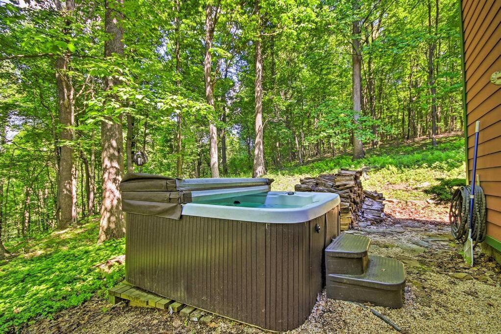 Vila Bear'S Eye View - Mountain Retreat W/ Hot Tub! Acme Exteriér fotografie